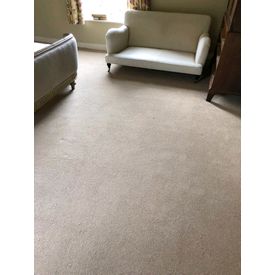 Adam Carpets Fine Worcestershire Twist in Flyford Flax