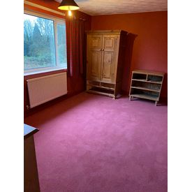 Westex Ultima Pink Carpet