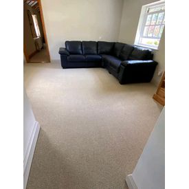 Crucial Trading wool boucle carpet to lounge