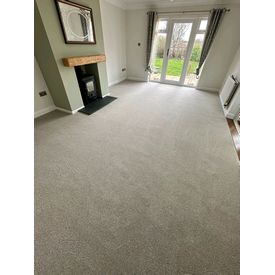 Penthouse Carpets Lounge Carpet