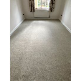 Dining Room carpet